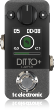 DITTO+ LOOPER