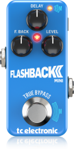FLASHBACK 2 MINI DELAY